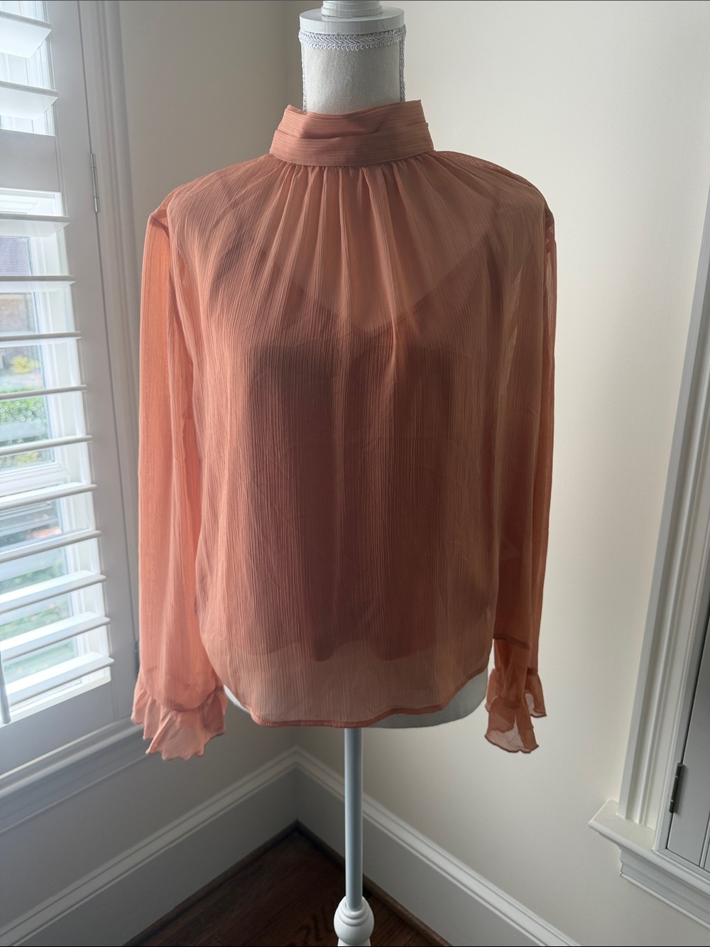 Anthropologie Sheer High-Neck Long-Sleeve Blouse in Peach
